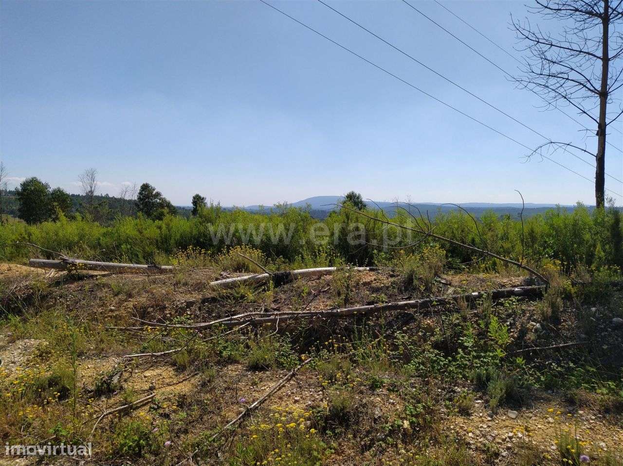 Terreno localizado em Sabacheira! - Grande imagem: 5/6