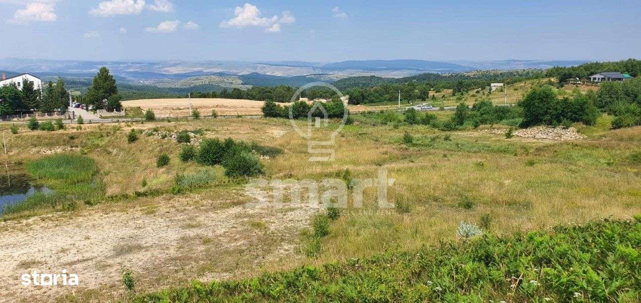 Teren deosebit la intrare in Salicea, 65 euro/mp - Imagine principală: 4/6