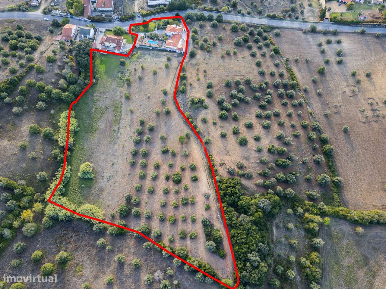 Refúgio com terreno a 1 hora de Lisboa em Torres Novas - espaço, priva - Grande imagem: 3/60