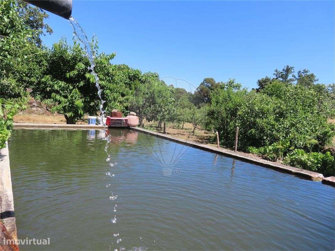 Quinta  para venda - Grande imagem: 3/50