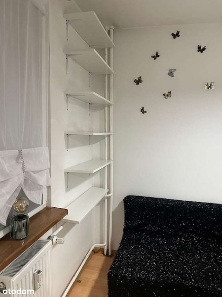 Rybnik Dąbrówki M-2 dwupokojowe , od listopada , 1 pietro - Pełny obrazek: 4/7