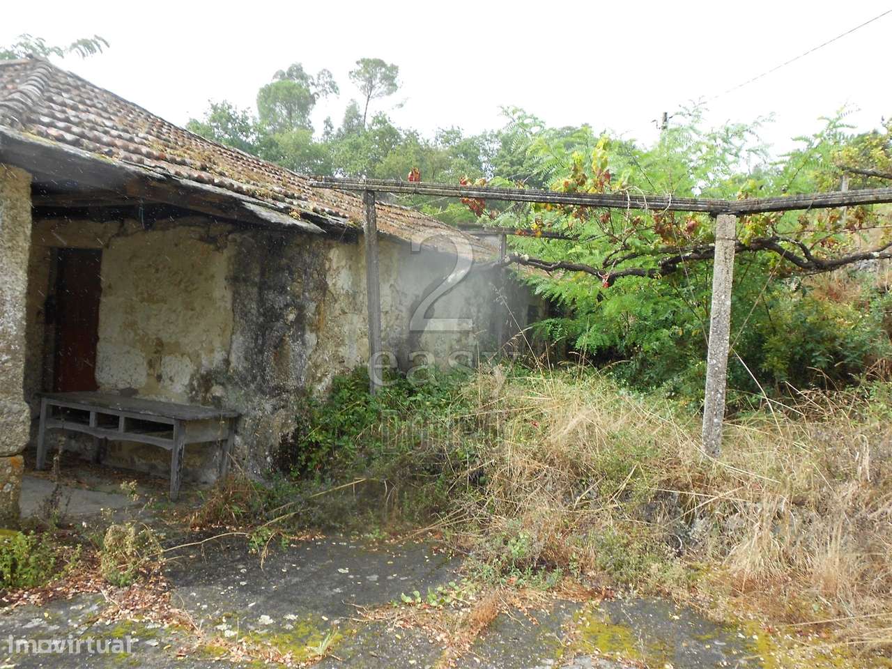 Quinta para Turismo Rural - Grande imagem: 5/60