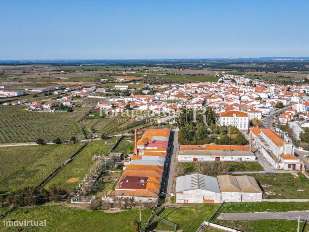 Quinta com cerca de 11 ha com magnífico Palácio - Grande imagem: 3/60