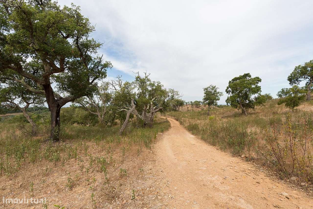 Terreno 53.0 ha, Santiago do Cacem - Grande imagem: 3/16