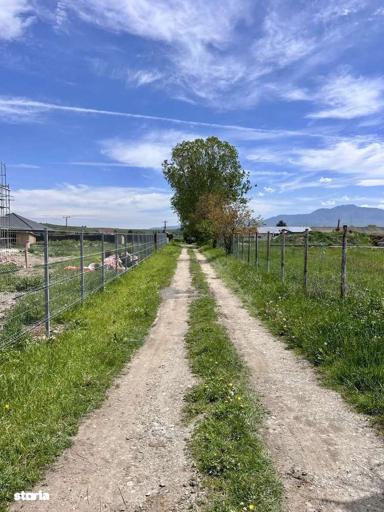 Teren de vânzare intravilan Brașov/Zarnesti - Imagine principală: 4/7