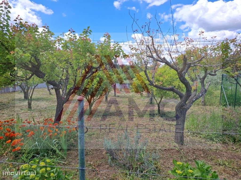 MORADIA COM TERRENO E ÁRVORES DE FRUTO - Grande imagem: 5/47