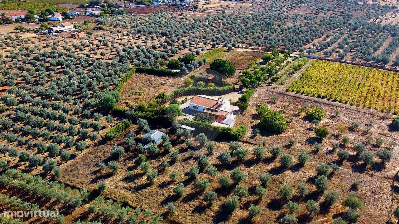 Quinta T3 para venda - Grande imagem: 2/37