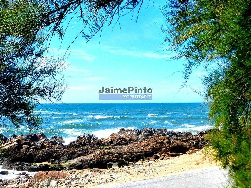 Apartamento de excelência T3 com varanda. Portugal, Nevogilde, Porto.-6