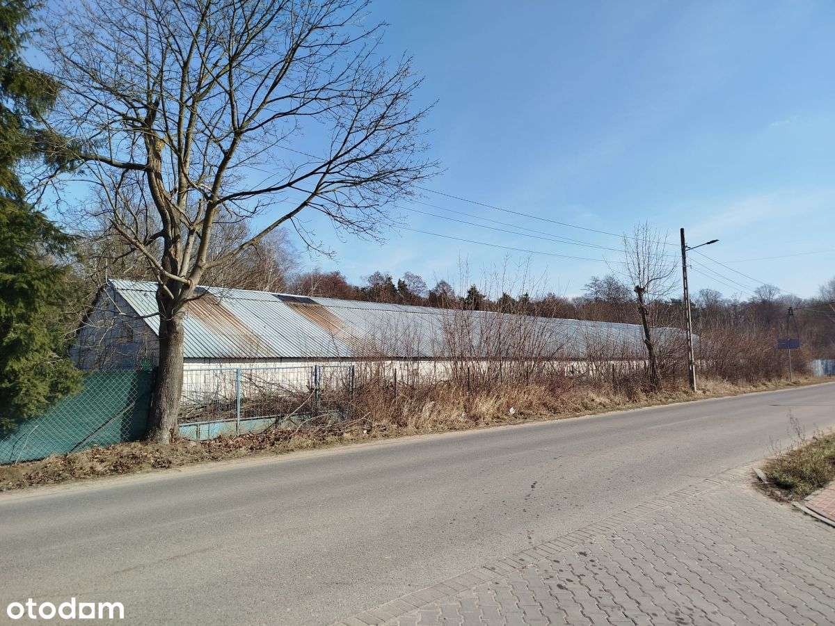 Skrzeszew, Usługi/Handel, tuż przy DW 631-9