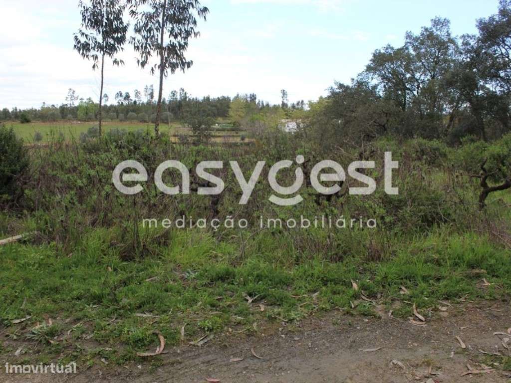 Terreno localizado nas Olalhas na Rota dos Trilhos das Cascatas - Grande imagem: 5/22