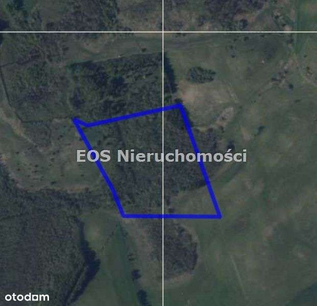 Rola 11,25 ha * Talki pow. Giżycki - Rezerwacja - Pełny obrazek: 4/8