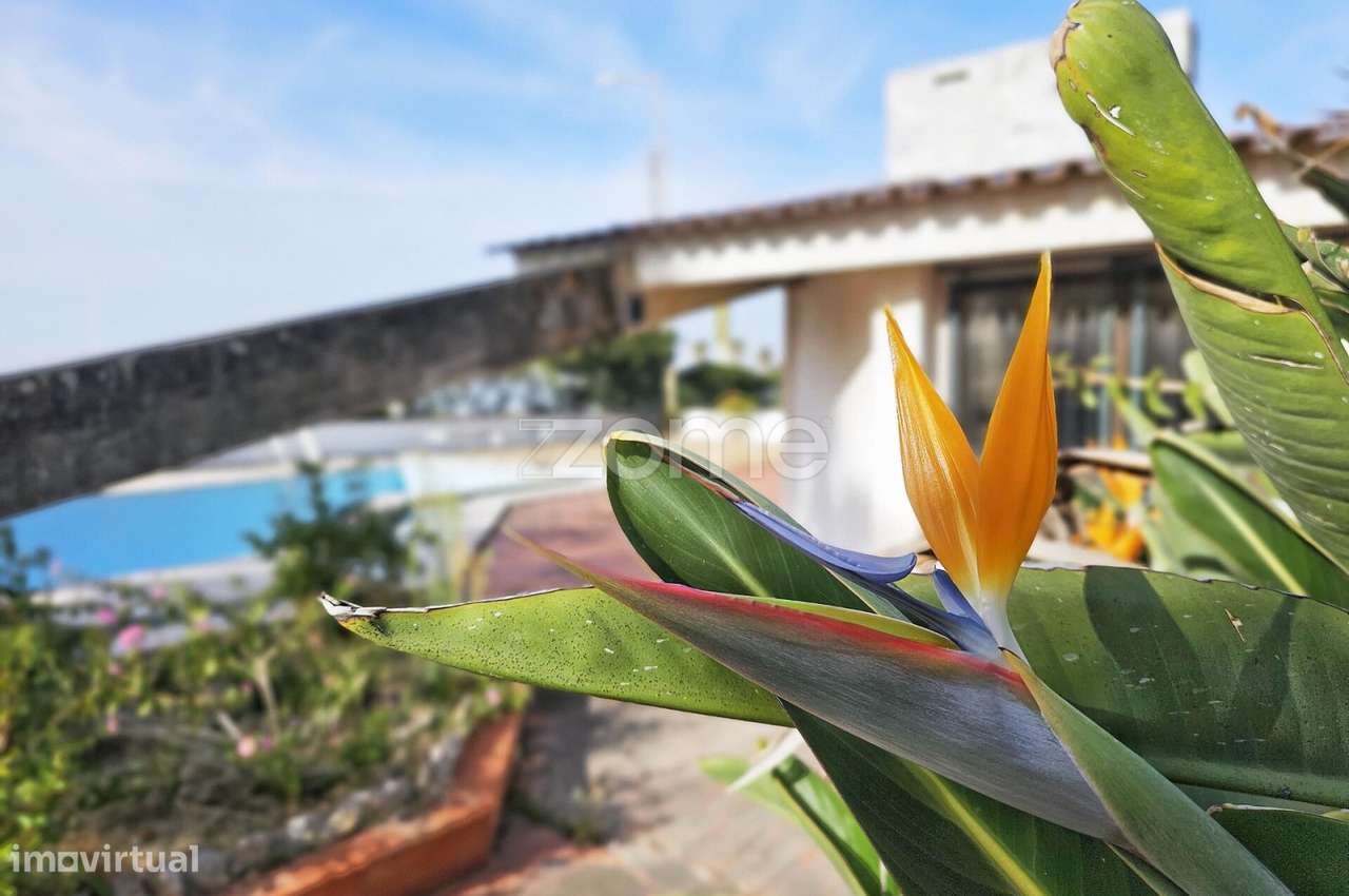 Moradia rara para Reabilitação – Vista Mar | São Pedro Estoril-34