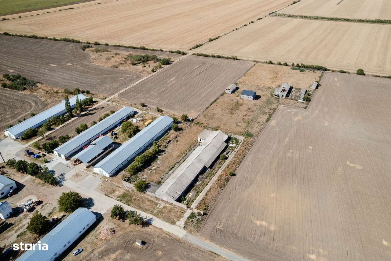 Ferma zootehnica, 19.367 mp,  Vladimirescu - Imagine principală: 4/8