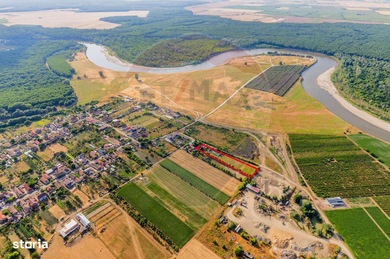 Teren intravilan de  4,000 mp in Zadareni - Imagine principală: 5/6