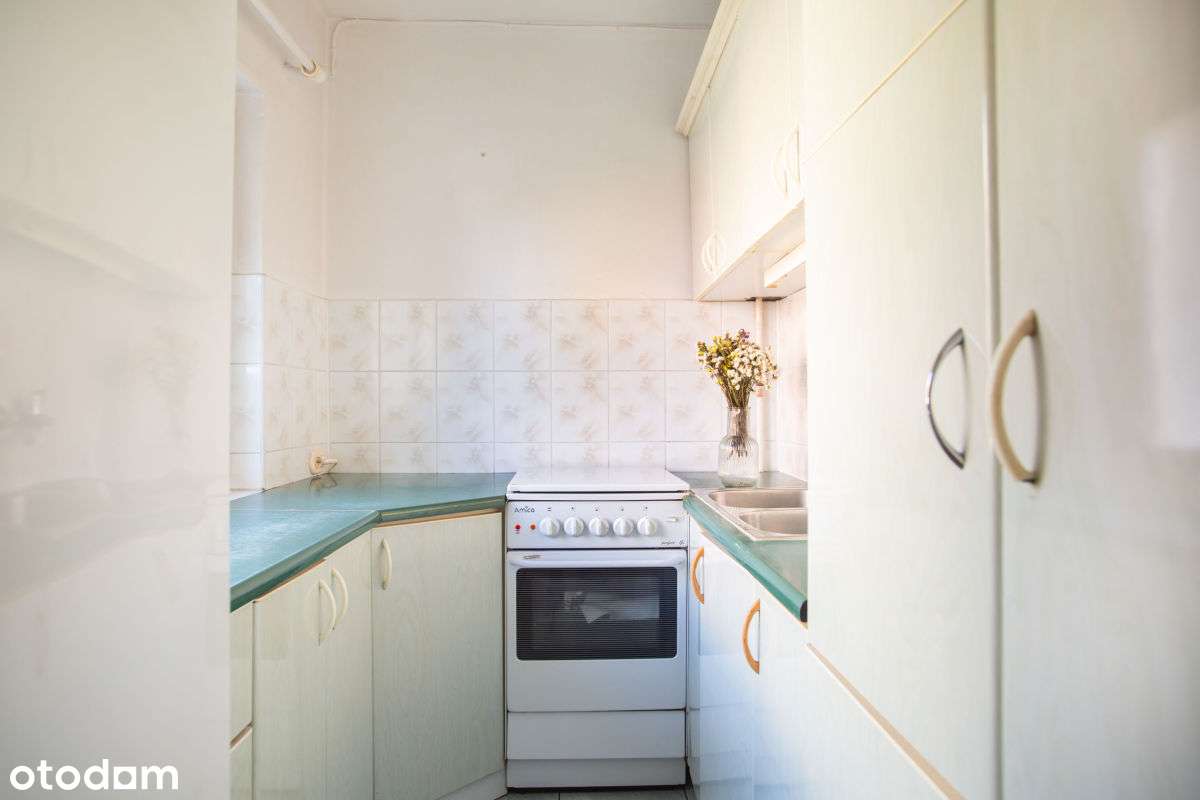 Mieszkanie blisko Lasku Marcelińskiego Grunwald-6