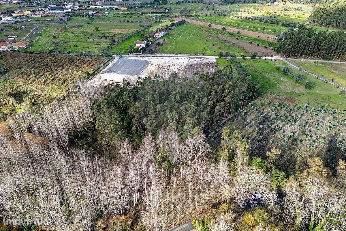 Terreno  para venda - Grande imagem: 4/9