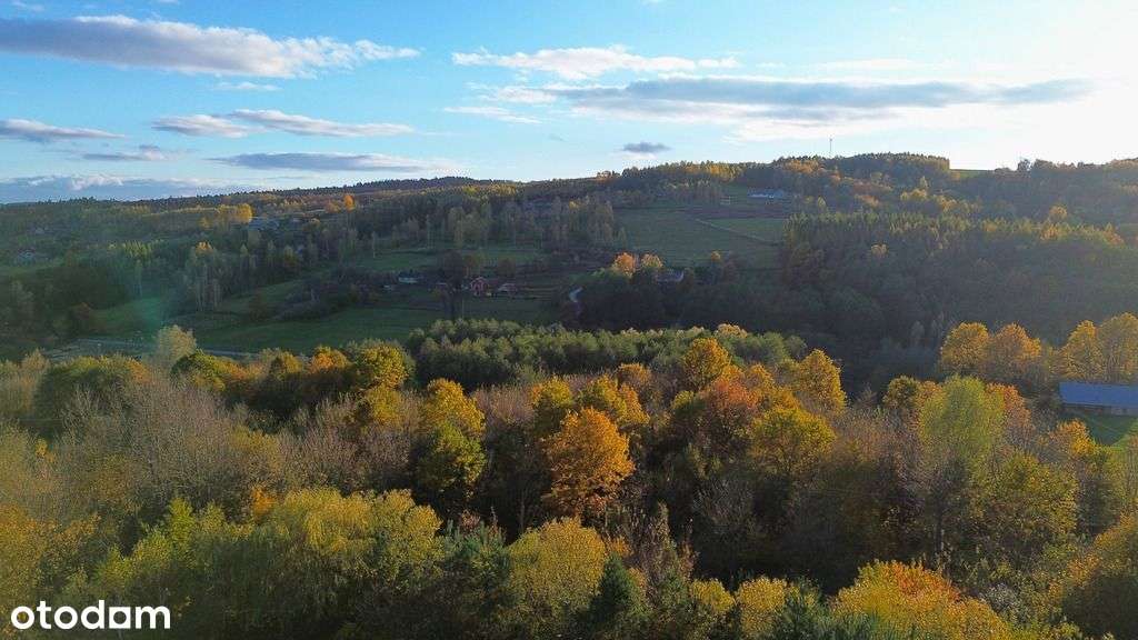 Widokowa Działka 29 Arów W Otoczeniu Lasu! - Pełny obrazek: 5/5