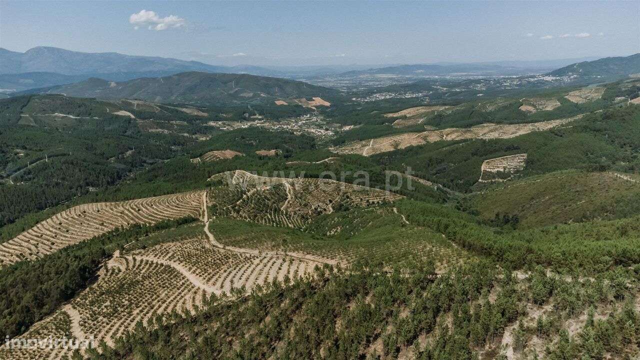 Terreno / Fundão, Castelejo - Grande imagem: 5/11