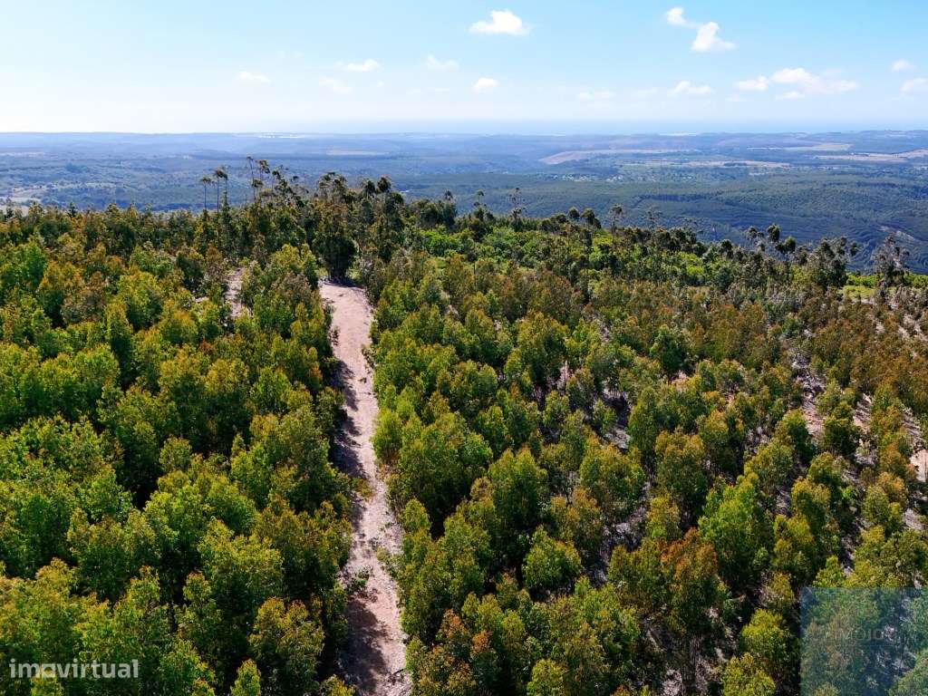 Terreno em São Teotónio, Odemira-22