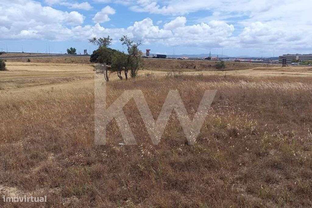 Terreno nas Portas da Cidade do Montijo com cerca de 20.000 m2 - Grande imagem: 3/14