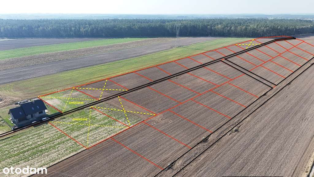 Piękne działki pod lasem w Żarowie! - Pełny obrazek: 1/3