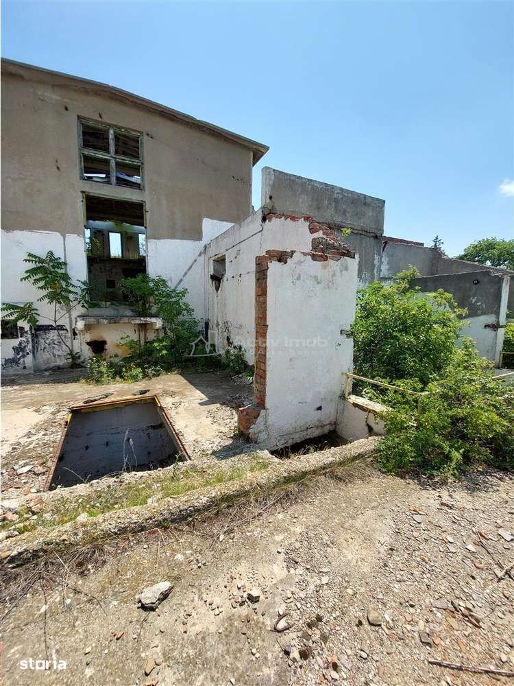 Teren intravilan 1,59 Ha+constructii industriale si edilitare Vin-Alco - Imagine principală: 4/10