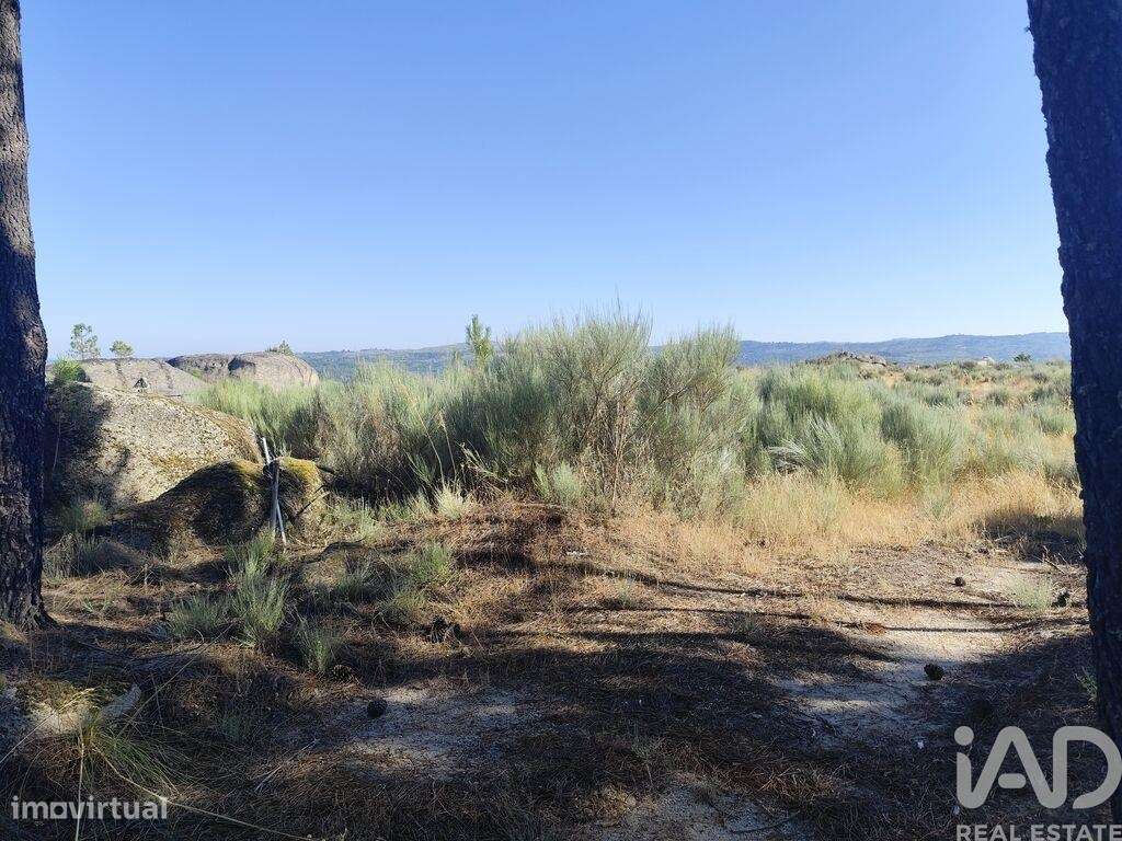 Terreno em Sernancelhe e Sarzeda de 51606,00 m2 - Grande imagem: 4/13