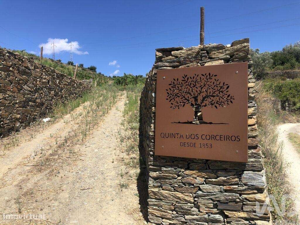 Casa de Campo T4 em Peso da Régua e Godim de 343,00 m2 - Grande imagem: 5/25