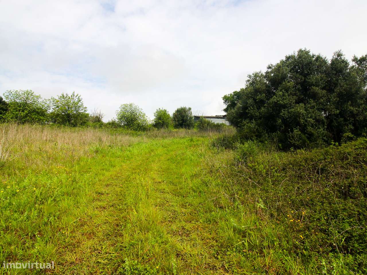 Terreno com 9.160m2 com viablidade de construção - Grande imagem: 4/16