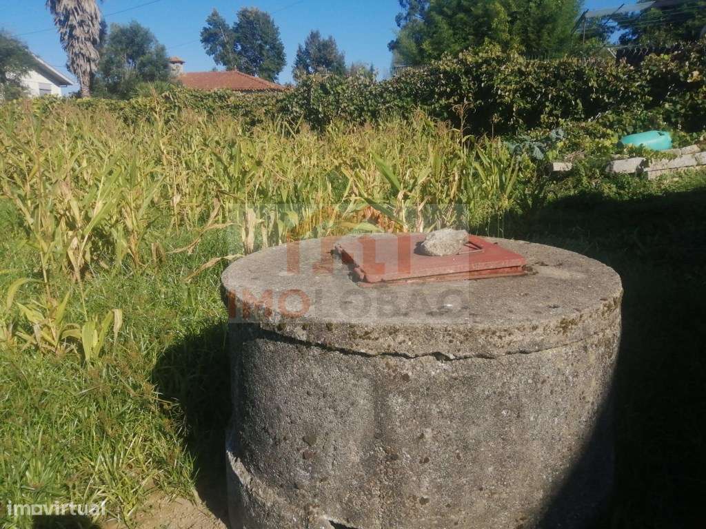 TERRENO P/ CONSTRUÇÃO - LOBÃO - Grande imagem: 3/5