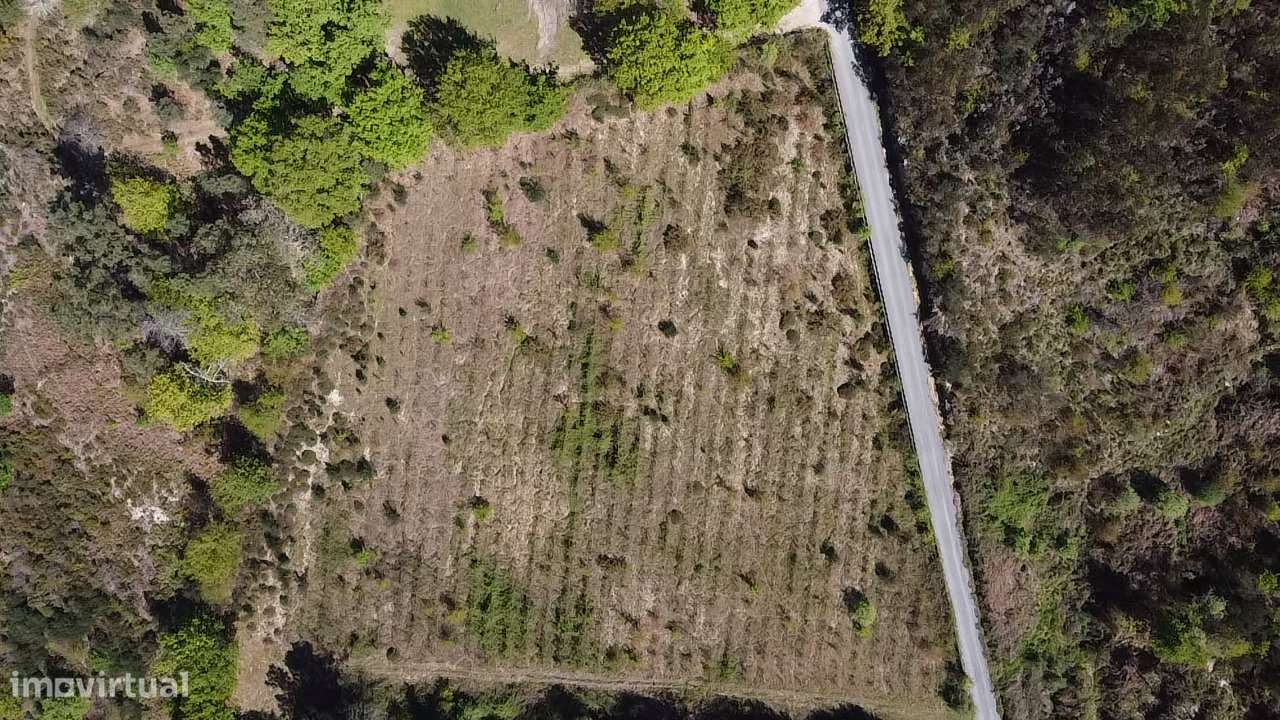 Terreno – Vouzela-11