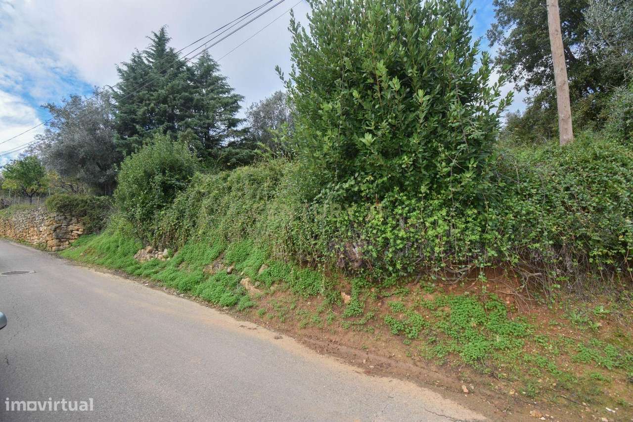 Terreno com projeto nos Carvalhais - Grande imagem: 5/6