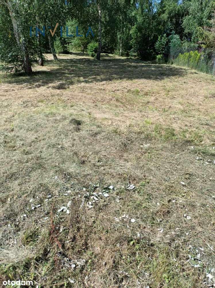 Działka Budowlana W Sasinie - Pełny obrazek: 4/4