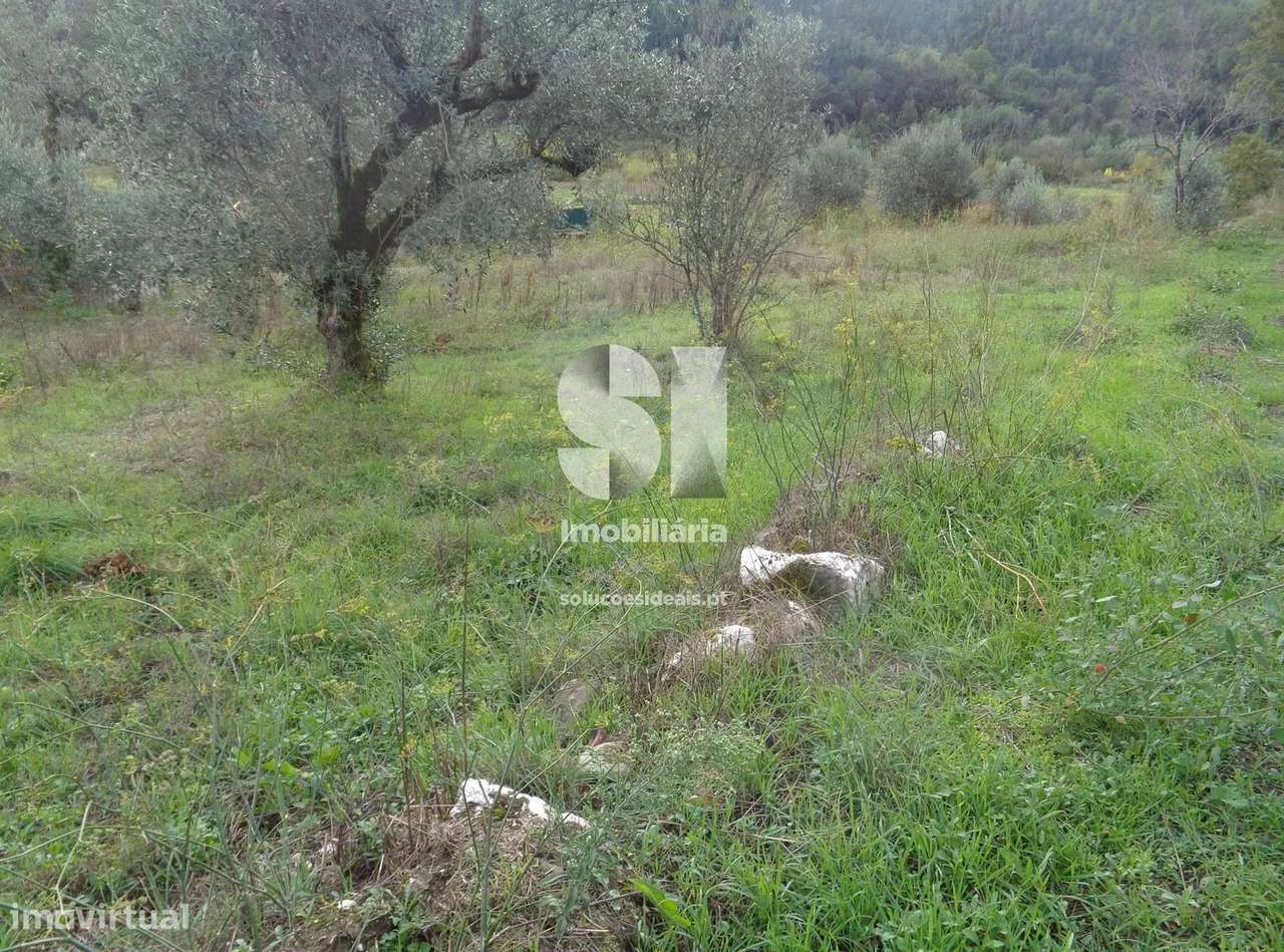 Terreno em Lousã - Grande imagem: 3/11