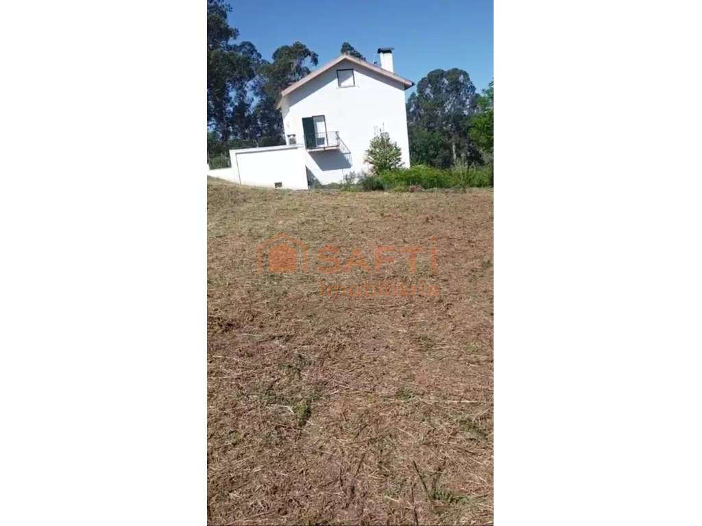 Terreno de cultivo - Grande imagem: 5/5