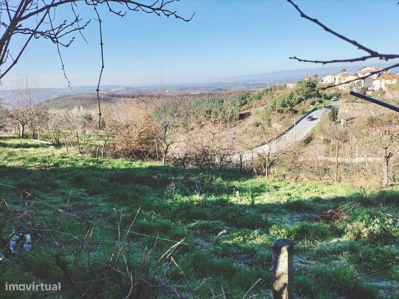 Terreno Urbanizável – Ideal para Investidores, Excelente Oportunidade. - Grande imagem: 5/9