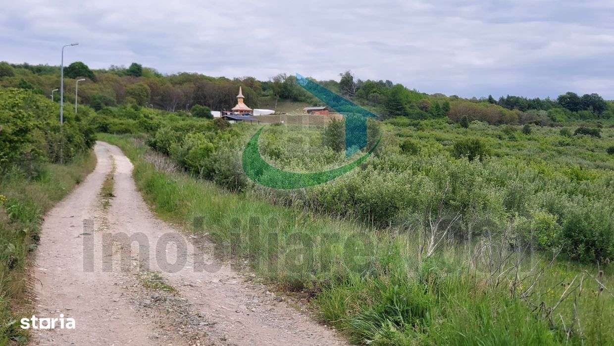 Teren intravilan 2510 mp Somcuta Mare, zona cu potential de dezvoltare - Imagine principală: 4/8