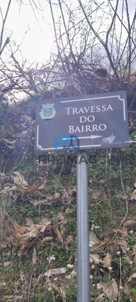 Terreno Urbanizável de 7959 m² com Armazém-50