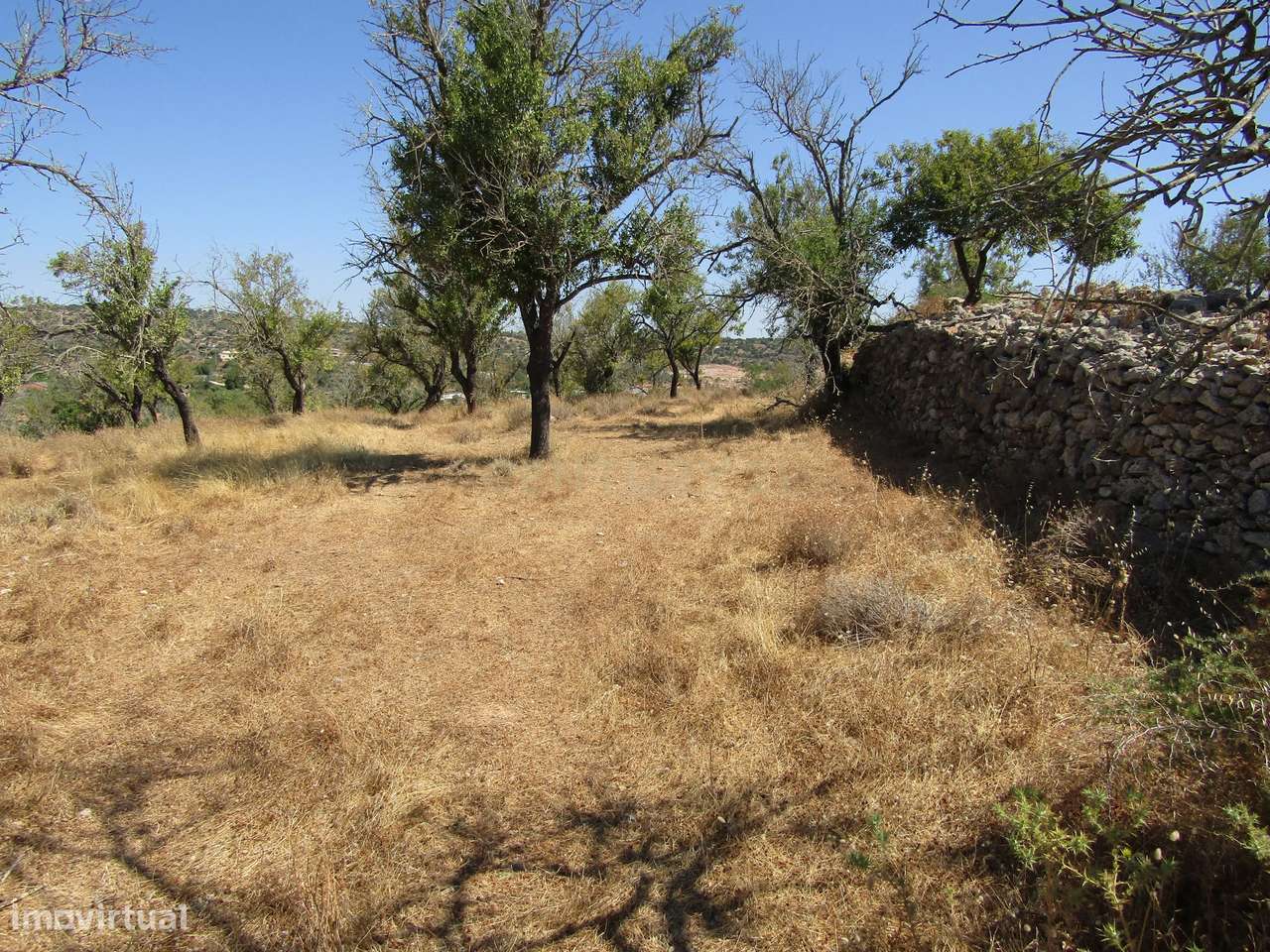 Terreno Rústico - Grande imagem: 3/11