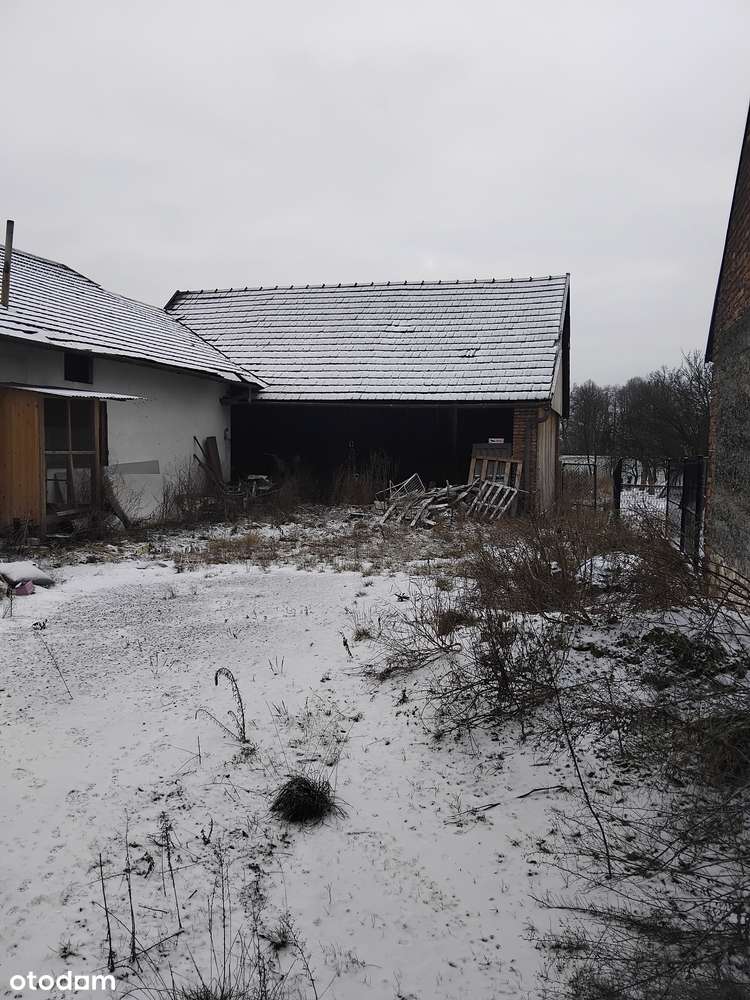 Dom na sprzedaż, 20 arów, Nowa Wieś Szlachecka – potencjał - Pełny obrazek: 4/20