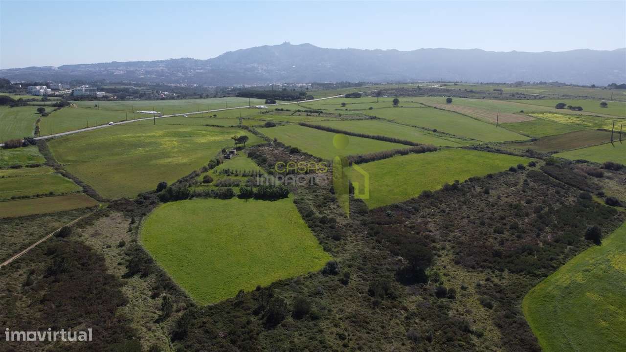 Terreno Rústico com Vista Mar e Serra – Sintra - Grande imagem: 2/14