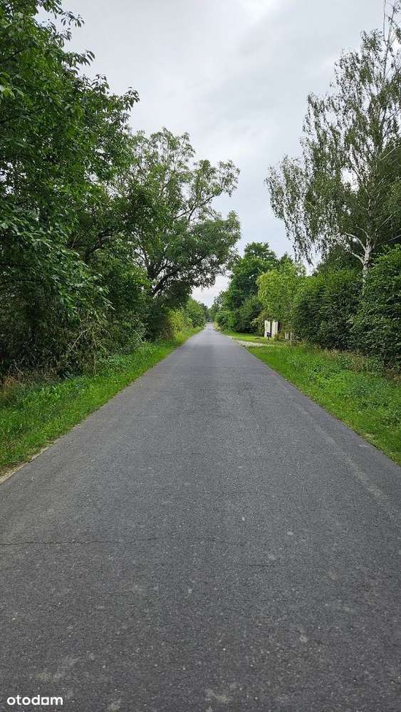 3838m2 piękna działka bud. Zakrzyce, gm. Miękinia-15