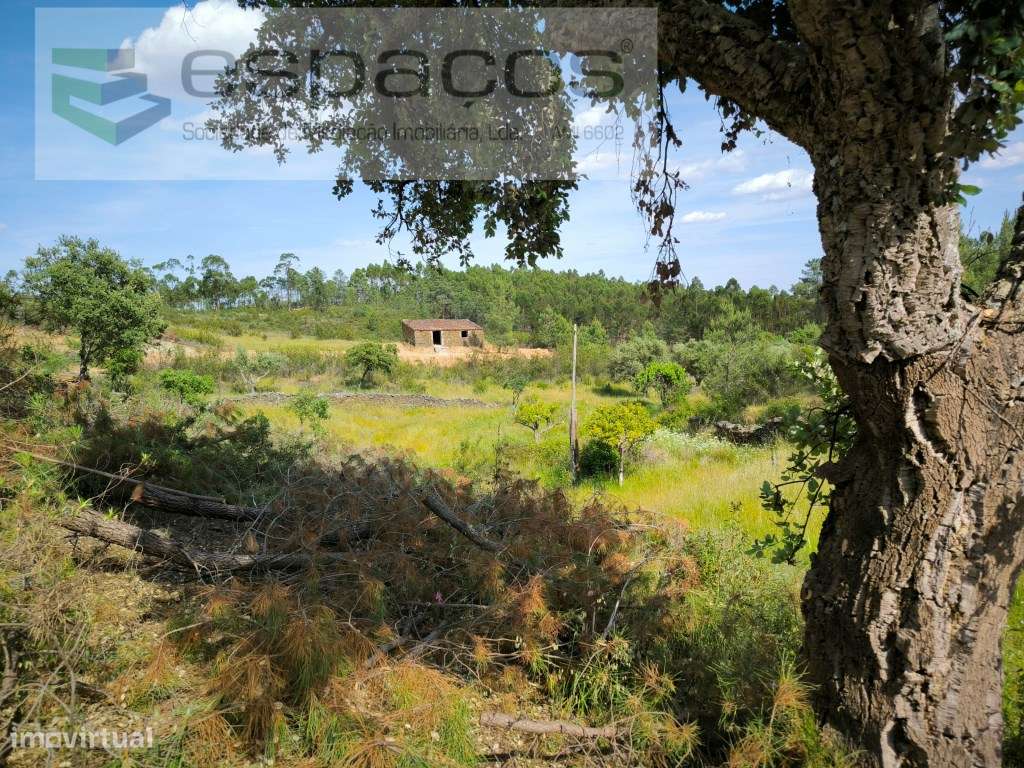 Quintinha 5 minutos de Castelo Branco - Grande imagem: 4/14