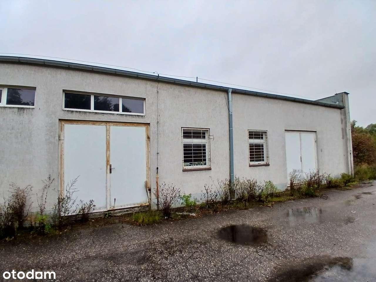 Hala/Magazyn, 10 564 m², Trzcianka - Pełny obrazek: 4/20