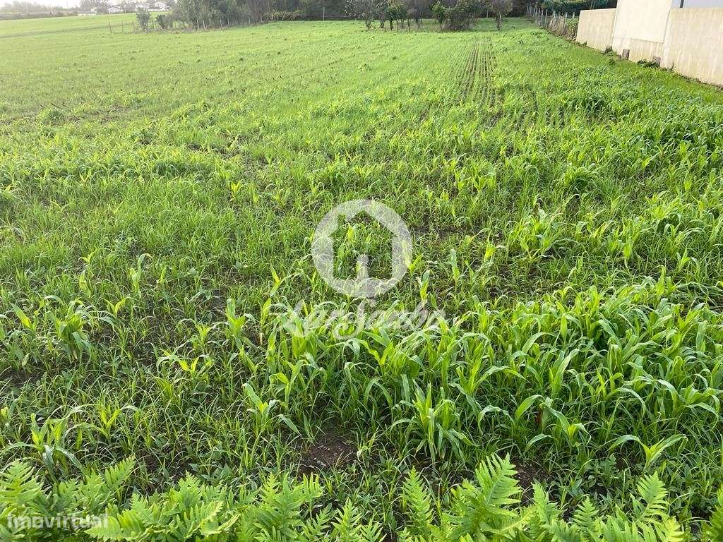 Terreno para construção com 1231,6m2 em Balazar, Póvoa de Varzim! - Grande imagem: 4/9