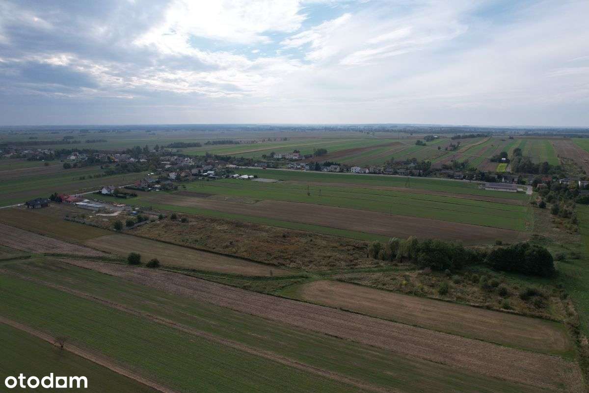 Gotowy biznes - budynek biurowy, handlowy, magazyn - Pełny obrazek: 5/14