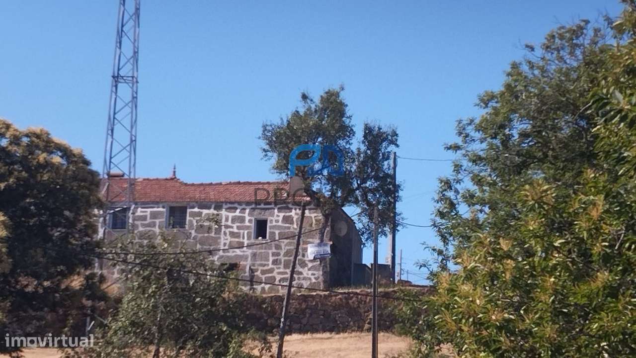 Casa de Campo - Grande imagem: 4/39