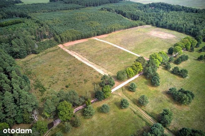 Dołgie, działka budowlana 830 m2, cicha okolica-4