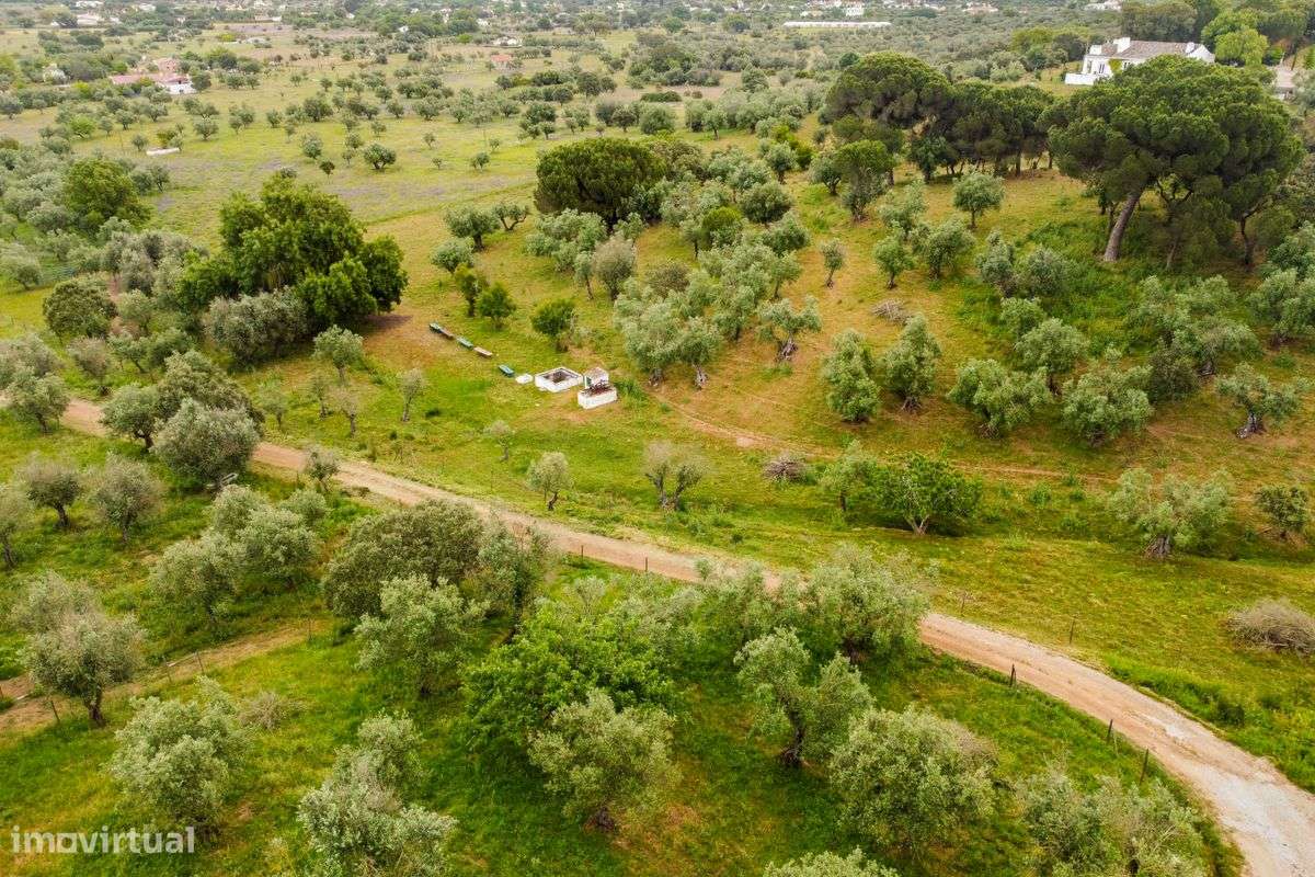 Quinta T8 para venda-23