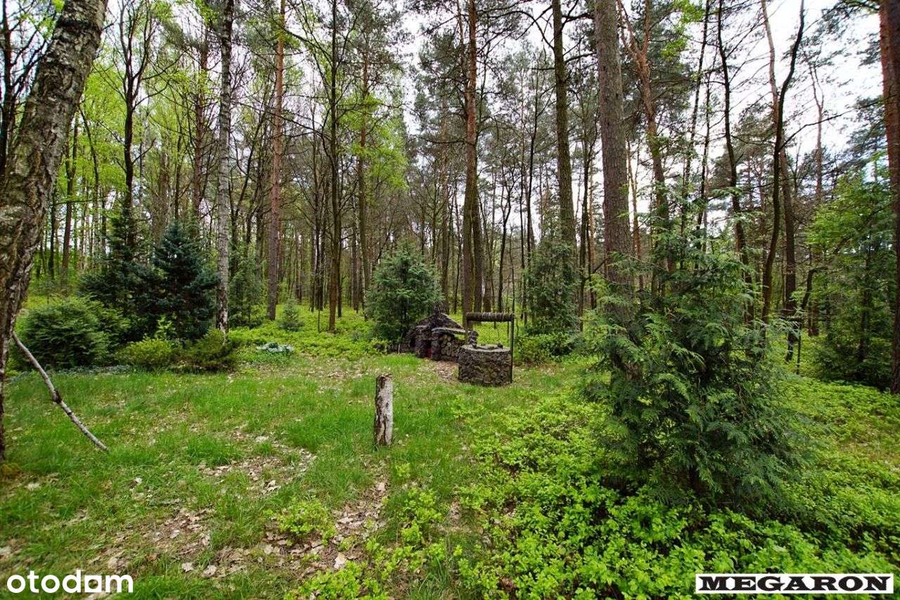 Duża działka budowlana w Żarkach Letnisko - Pełny obrazek: 4/12
